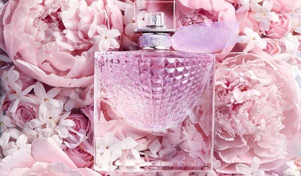 Top 13 chai nước hoa nhóm hương Floral Woody Musk thơm lâu