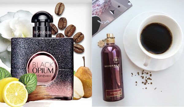 Top 5 nước hoa hương cà phê sảng khoái cho một ngày tỉnh táo