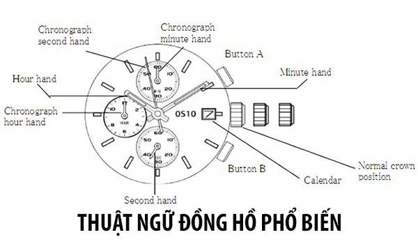 Top 55 thuật ngữ đồng hồ chuyên ngành thường gặp bạn nên biết