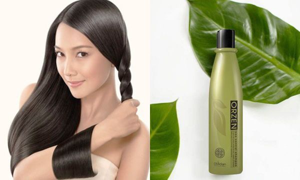 Review 7 dầu gội trị rụng tóc hiệu quả kích thích mọc tóc tốc độ vượt trội