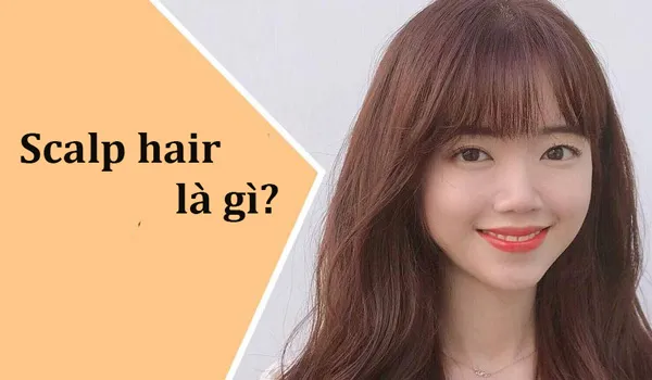 Scalp hair là gì? Giải mã những thuật ngữ về Scalp dễ bắt gặp