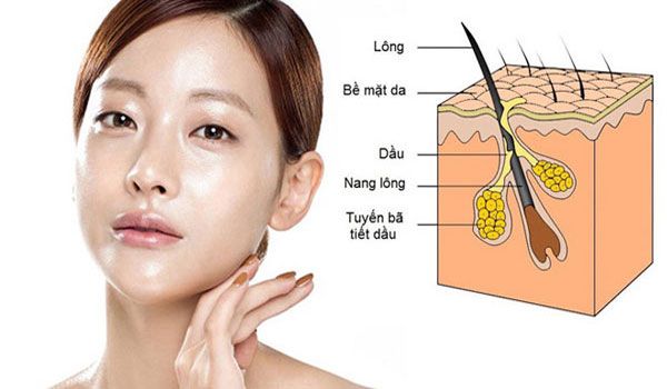 Top 19 sản phẩm skincare cho da dầu mụn lỗ chân lông to được nhiều khách hàng yêu thích