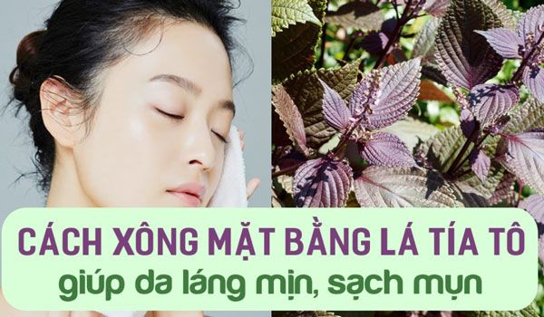 Gợi ý 3 cách xông mặt bằng lá tía tô giúp sáng da và hỗ trợ làm sạch mụn cực đơn giản