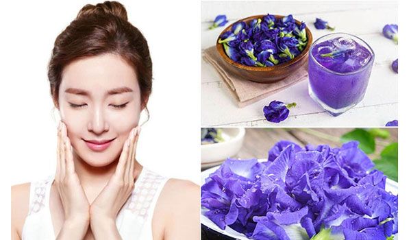 7 lợi ích của hoa đậu biếc với làn da và cách làm đẹp tại nhà từ hoa đậu biếc
