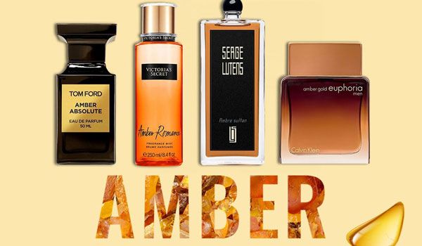 Top 18 chai nước hoa mùi hương hổ phách rất kinh điển