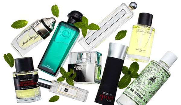 Top 8 chai nước hoa mùi bạc hà thơm mát cho nam giới