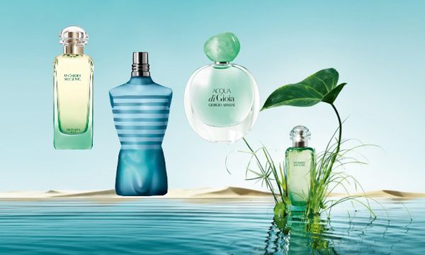 Top 8 nước hoa hương hoa cỏ biển được yêu rất thích năm 2025