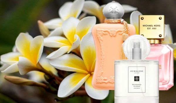 Top 9 chai nước hoa mùi hoa sứ rất thơm cho phái nữ