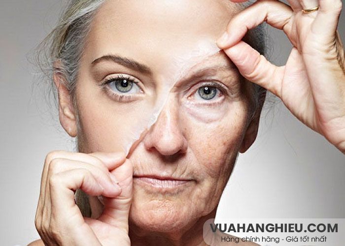 Gợi ý 13+ loại kem dưỡng chống lão hóa hiệu quả chất lượng tốt