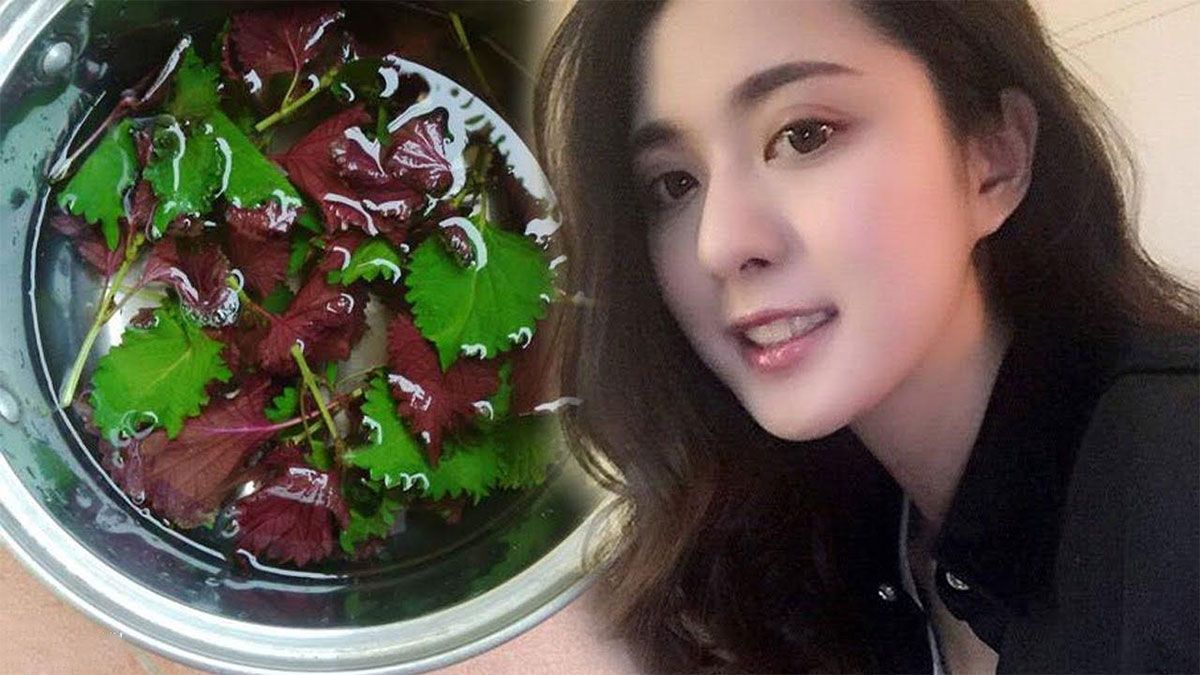11 cách làm trắng da bằng lá tía tô hiệu quả