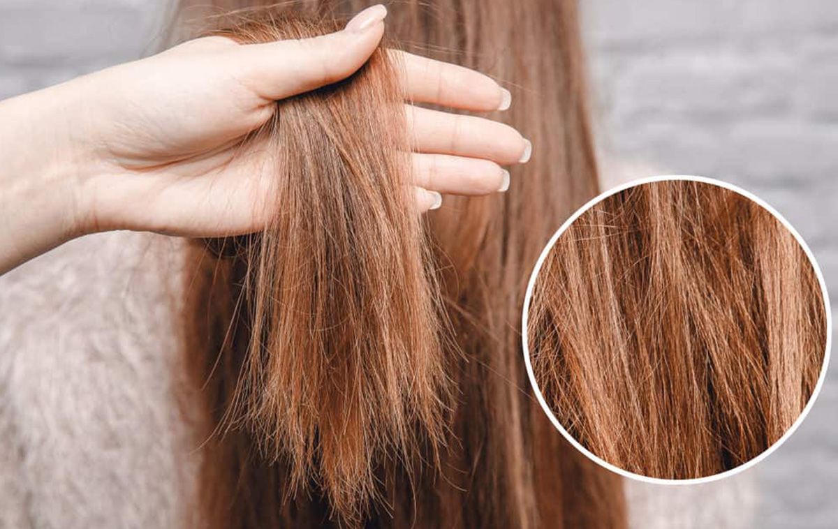 11+ cách phục hồi tóc hư tổn nhanh chóng và hiệu quả tại nhà