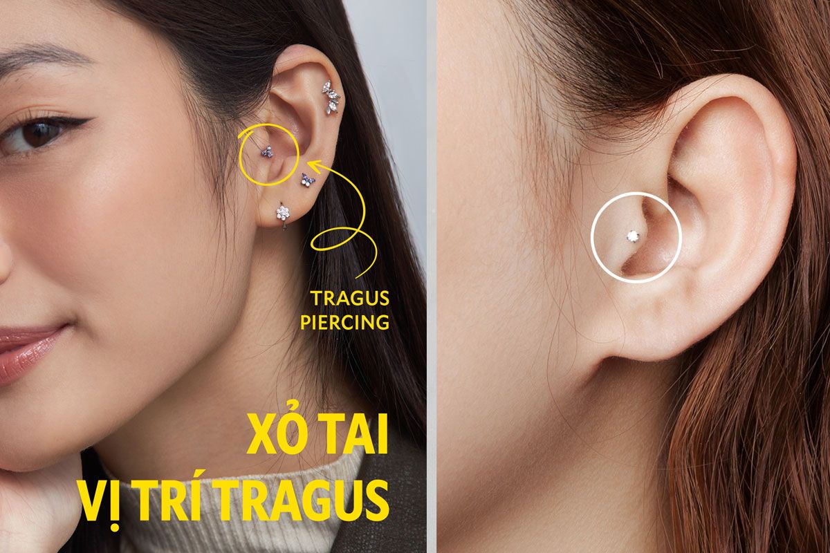 Xỏ Tragus có đau không? Xỏ Tragus nên chọn khuyên gì đẹp?
