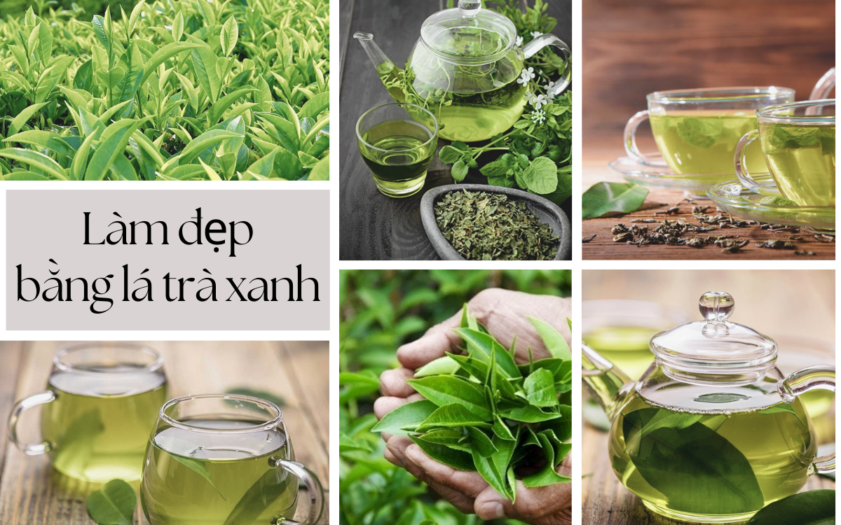 Lá trà xanh có tác dụng gì? Điều bạn không nên bỏ lỡ