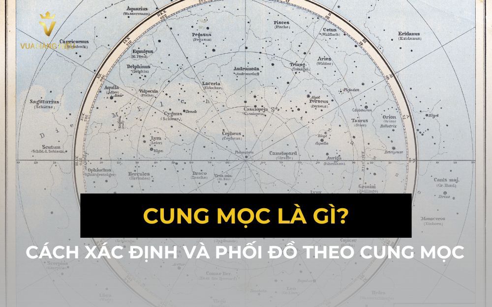 Cung Mọc Là Gì? Cách Xác Định Và Phối Đồ Theo Cung Mọc Riêng Biệt