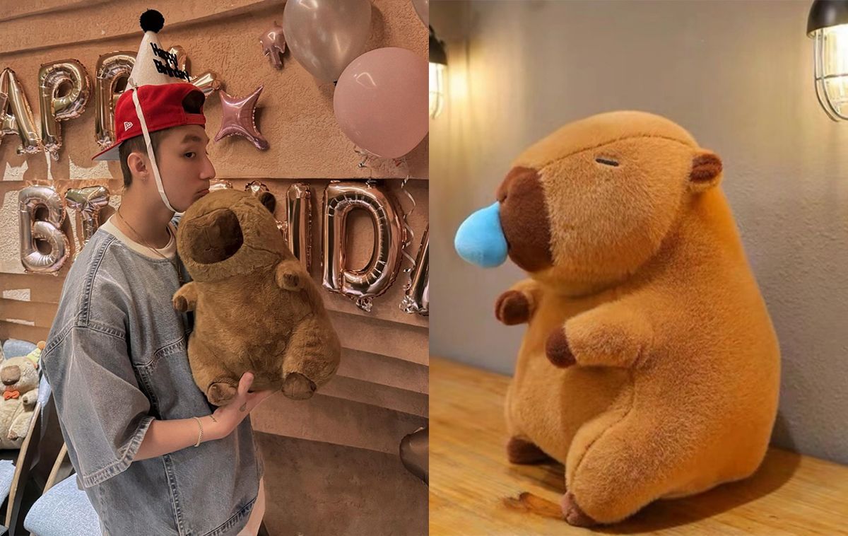 "Sốt xình xịch" với gấu bông Capybara: Từ mạng xã hội đến "mặt hàng hot" của giới trẻ Việt