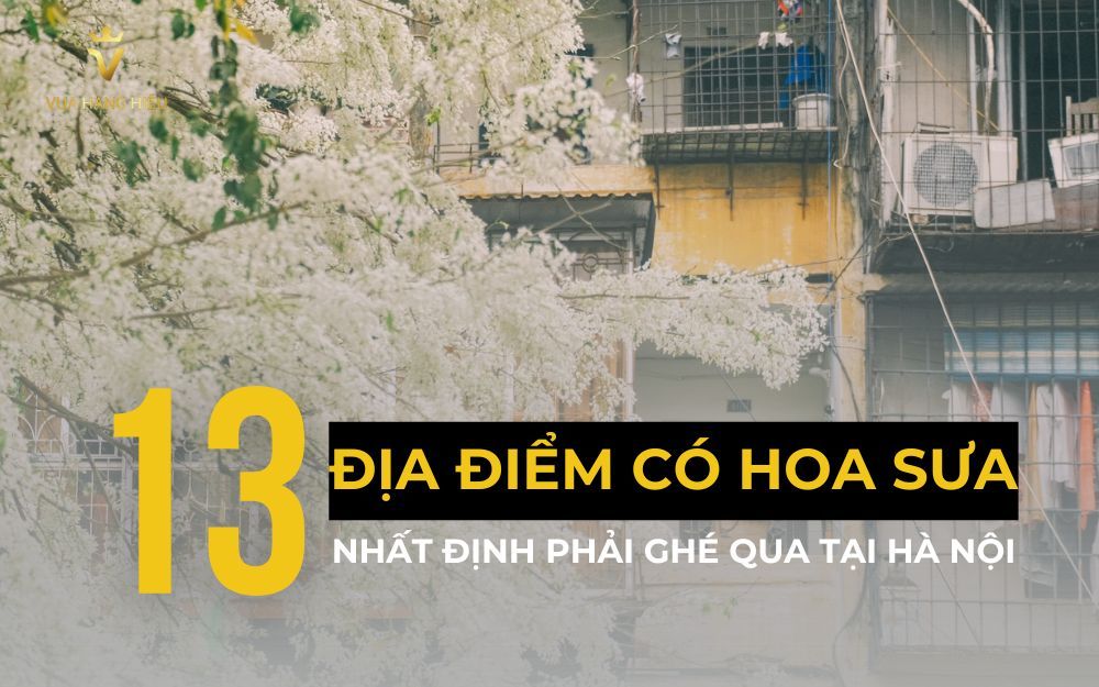Top 13 Địa Điểm Có Hoa Sưa Tại Hà Nội Nổi Trội Định Phải Ghé Qua