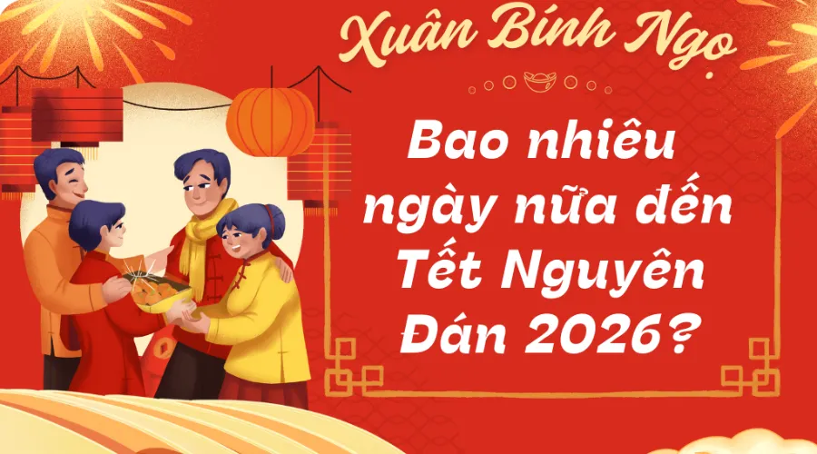 Còn bao nhiêu ngày nữa đến Tết Bính Ngọ 2026? Đếm ngược ngày đến Tết