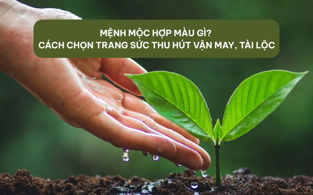 Mệnh Mộc Hợp Màu Gì? Cách Chọn Trang Sức Thu Hút Vận May, Tài Lộc