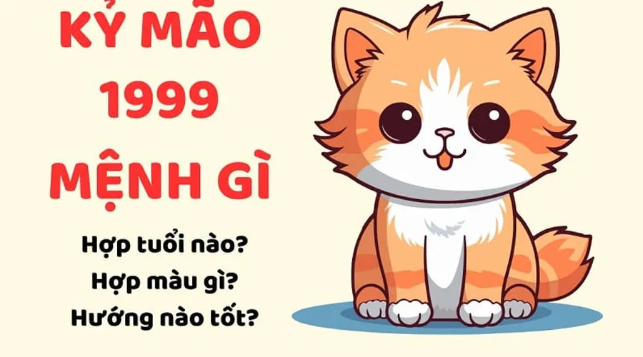 Sinh Năm 1999 Mệnh Gì? Hợp Màu Gì, Tuổi Nào, Tính Cách Ra Sao?