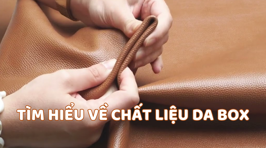 Da box là gì? Lý do nên chọn đồ làm từ da box