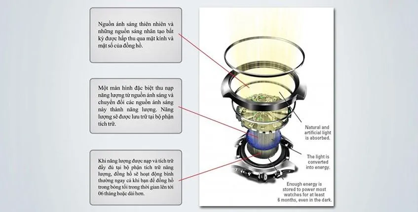 Đi tìm sự thật về đồng hồ năng lượng mặt trời được nhiều khách hàng yêu thích hiện nay