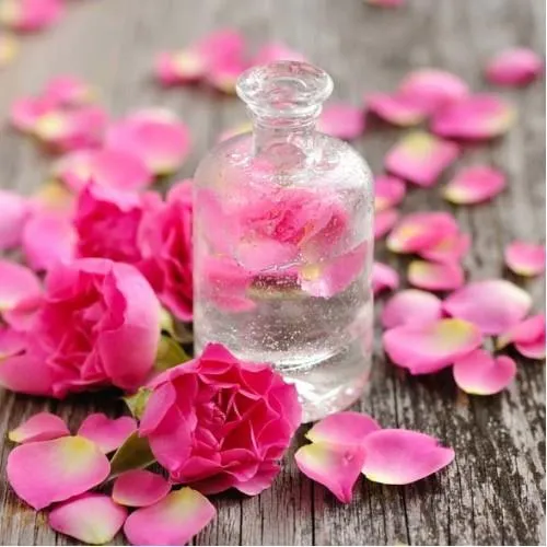 Gợi ý 25 dòng nước hoa hồng dưỡng ẩm được nhiều khách hàng yêu thích dành cho mọi loại da