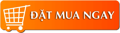 Mua các dòng sản phẩm chính hãng hiệu MLB tại Việt Nam