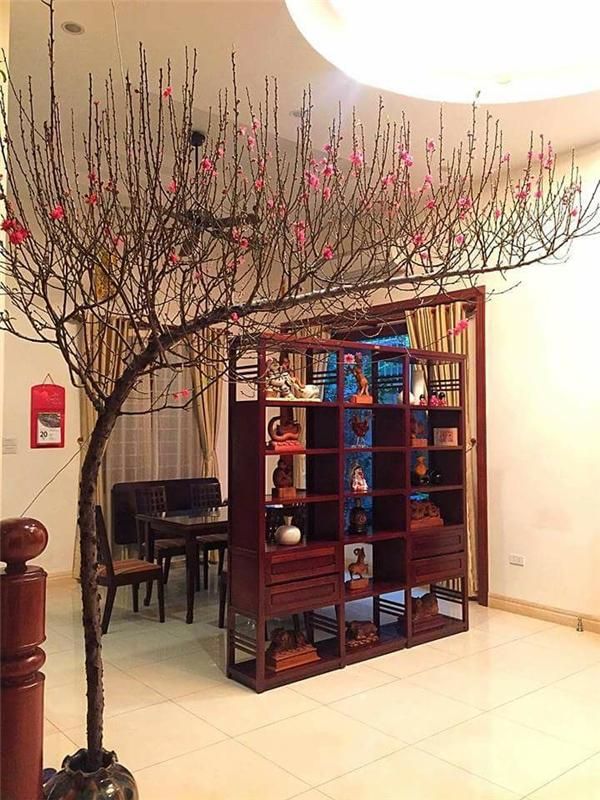 Gợi ý 20+ quà tặng tết ý nghĩa cho người thân, người yêu, sếp và đồng nghiệp - 5