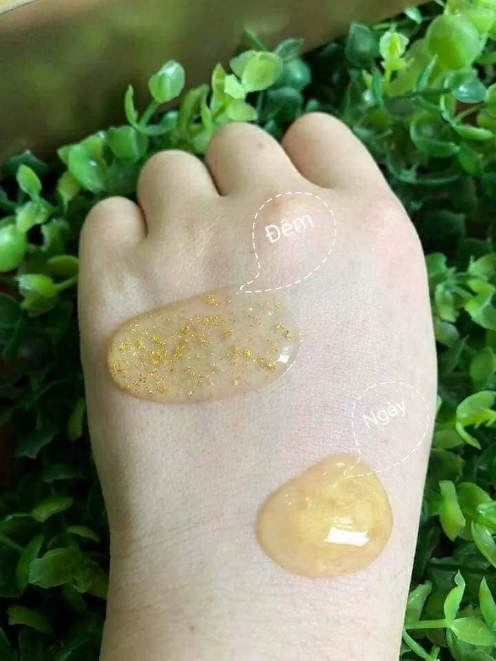 Review mỹ phẩm cao cấp Sum 37 Losec Summa Elixir Day Ampoule - 3