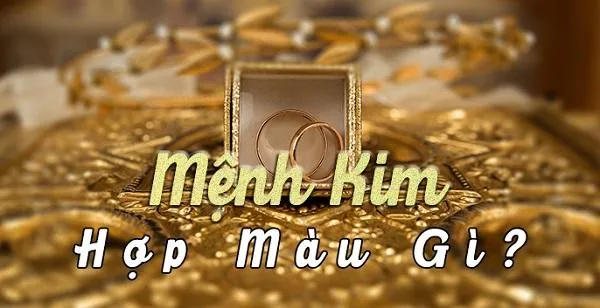 Nên mua túi xách màu gì để hợp mệnh và phong thủy cho nàng nhiều may mắn?