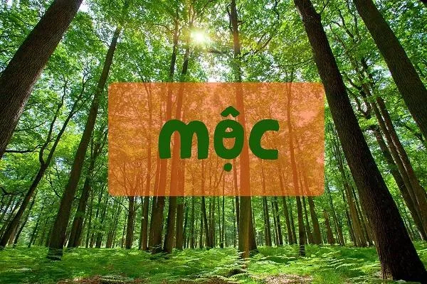 Nên mua túi xách màu gì để hợp mệnh và phong thủy cho nàng nhiều may mắn?