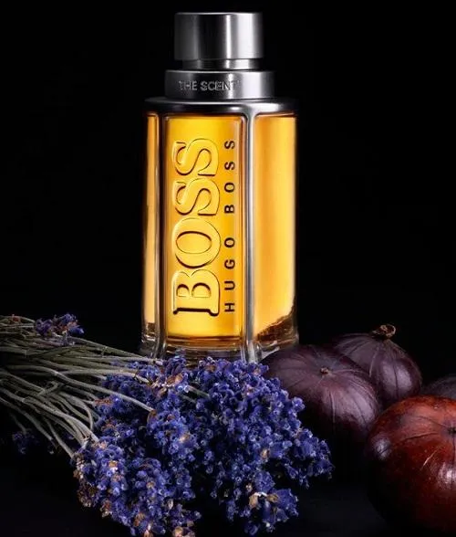 Đánh giá các mẫu nước hoa nam Hugo Boss được giới nữ yêu thích
