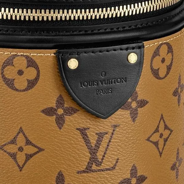 Giá bán các mẫu túi xách nữ Louis Vuitton chính hãng trendy 2025 - 11