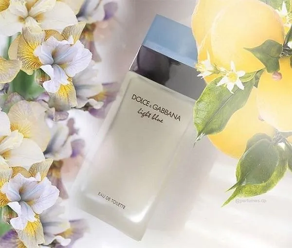 Review top 10 chai nước hoa Dolce & Gabbana nữ rất thơm