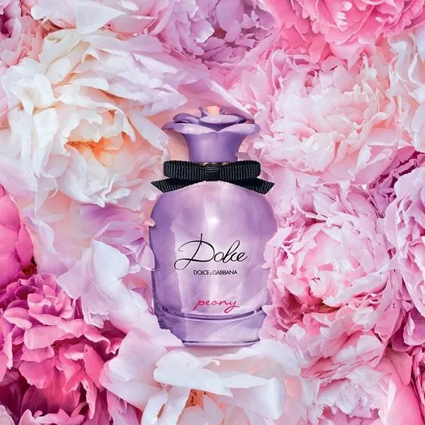 Review top 10 chai nước hoa Dolce & Gabbana nữ rất thơm