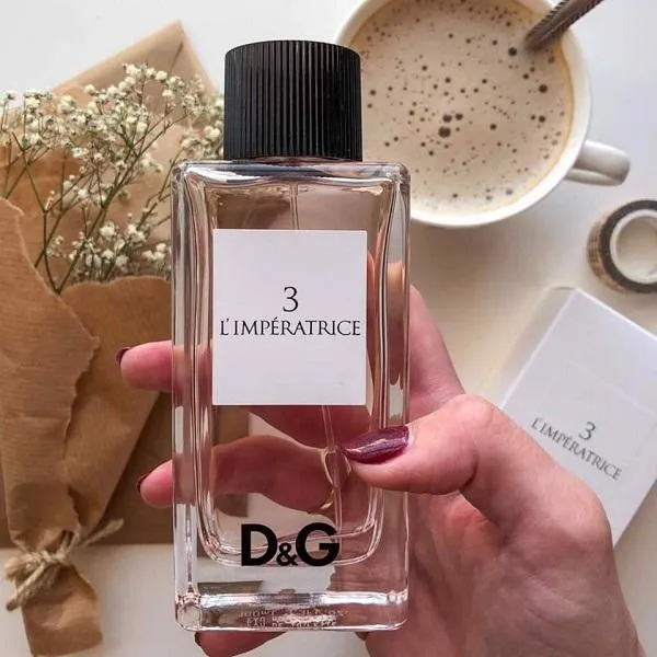 Review top 10 chai nước hoa Dolce & Gabbana nữ rất thơm