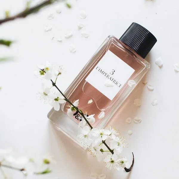 Review top 10 chai nước hoa Dolce & Gabbana nữ rất thơm