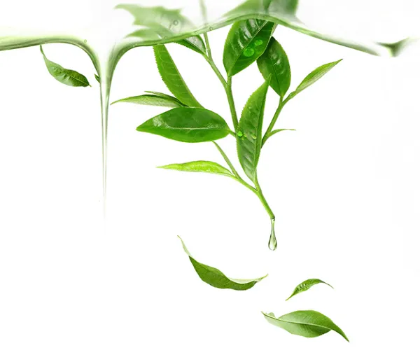 Review 12 loại mặt nạ của Foreo UFO nuôi dưỡng làn da như đi spa ngay tại nhà - 48