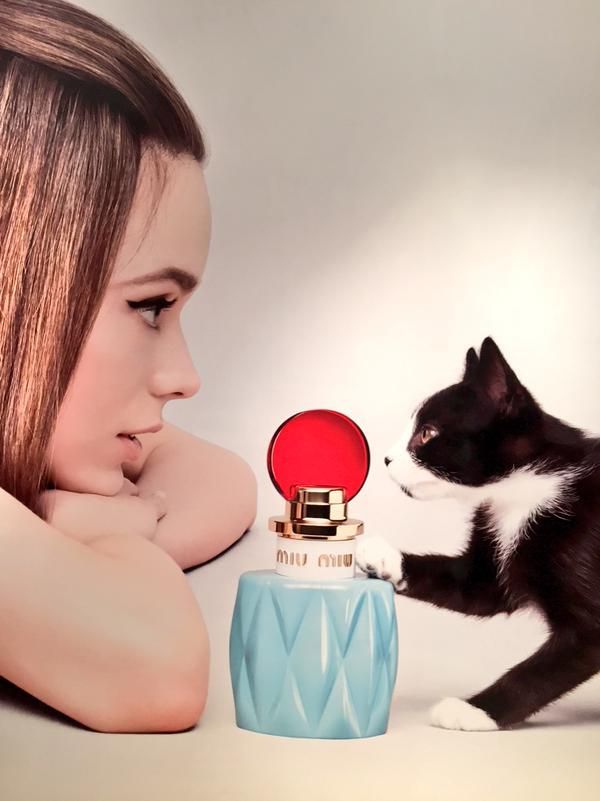 Top 9 chai nước hoa Chypre hương hoa cỏ tự nhiên nhẹ nhàng và thuần khiết