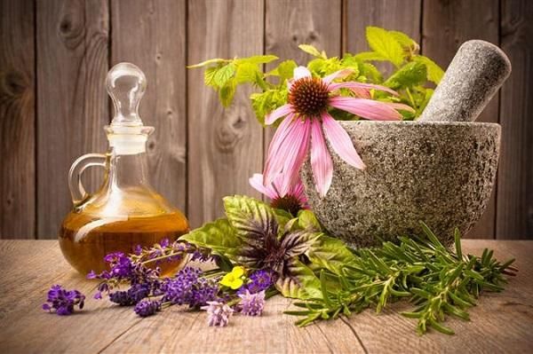 Top 9 chai nước hoa Chypre hương hoa cỏ tự nhiên nhẹ nhàng và thuần khiết