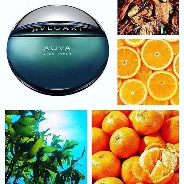 Review 10 chai nước hoa nam chiếm lĩnh thị trường thế giới - 11