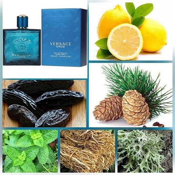 Top 3 chai nước hoa Versace Eros mang sự quyến rũ của 