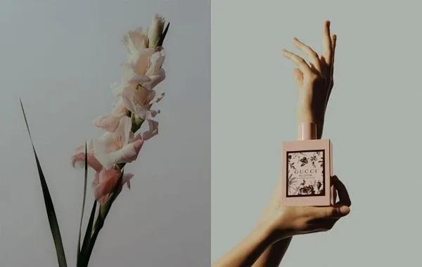 Top 7 nước hoa nữ Floral Green hương cỏ xanh tự nhiên quyến rũ và sành điệu - 17