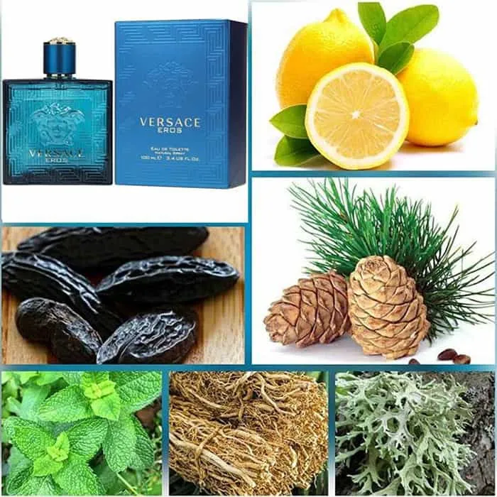 Nước Hoa Nam Versace Eros Man EDT 200ml - Nước hoa - Vua Hàng Hiệu