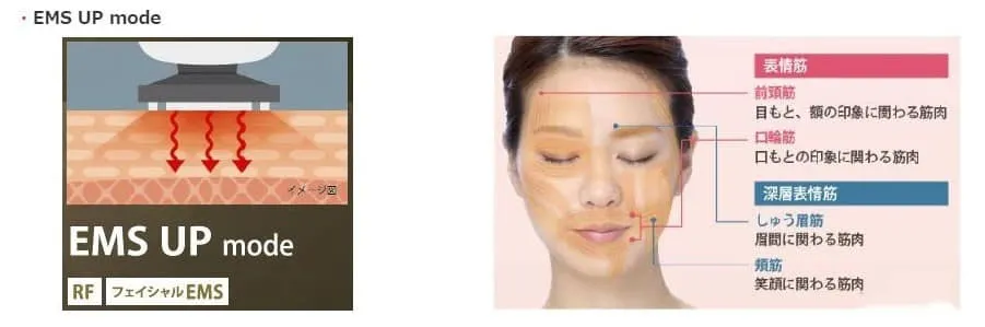 Review và so sánh 4 dòng máy massage Yaman HRF 10T, 11B, 20N và 20P - 11