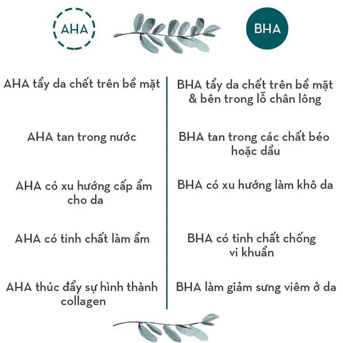 AHA là gì? Top 5 mỹ phẩm dưỡng da chứa AHA được nhiều khách hàng yêu thích đáng mua