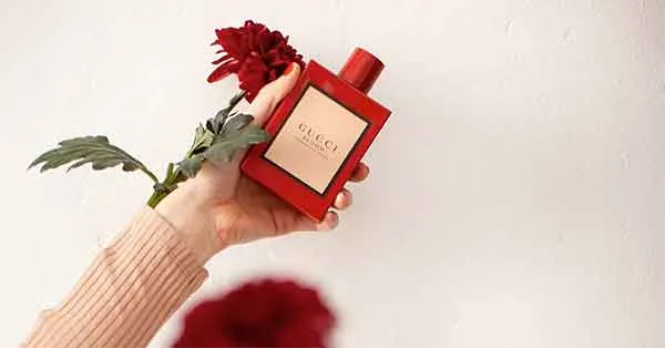 Nước Hoa Nữ Gucci Bloom Ambrosia Di Fiori EDP Intense - Nước hoa - Vua Hàng Hiệu