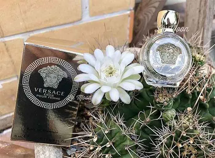 Top 10 chai nước hoa Versace 5ml giá dưới 300k bán chạy 2025
