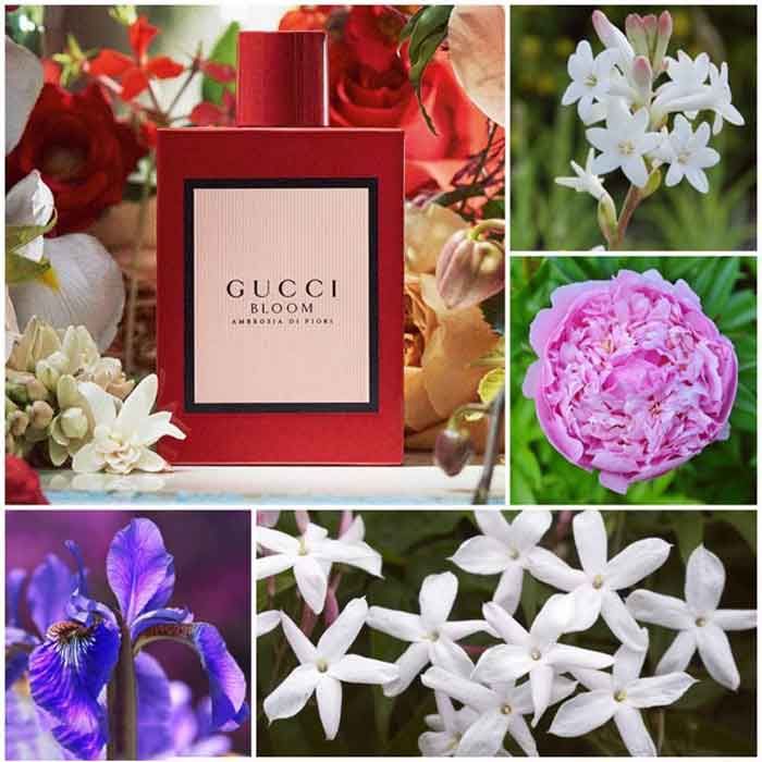 Top 5 chai nước hoa Gucci Bloom cho nữ rất thơm
