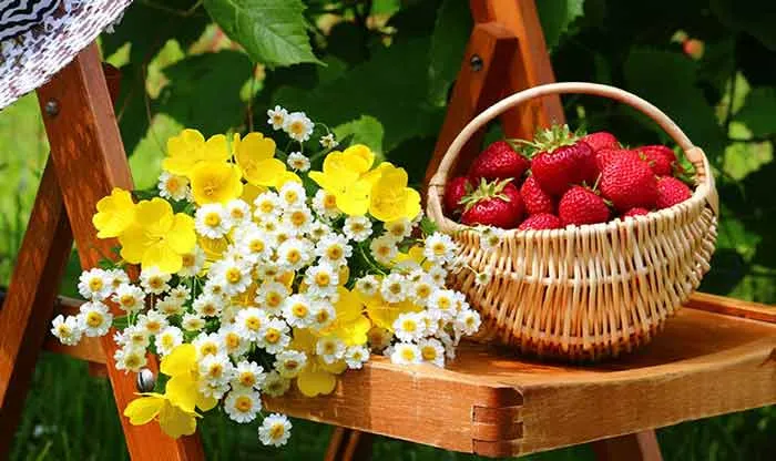 Top 8 nhóm hương nước hoa được yêu thích rộng rãi mọi thời đại - 1